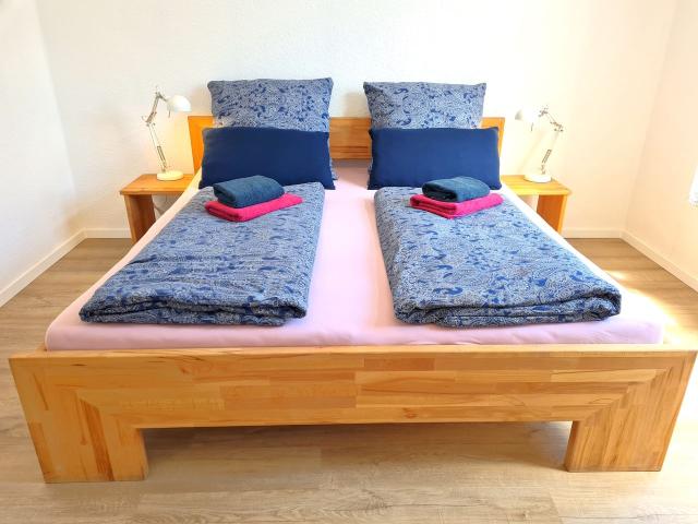 Perfect and amazing loft in Mainz, Mainz Amsterdam Apartments for Rent