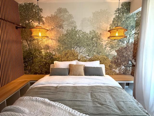 Perfect and charming apartment, Metz