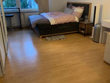 Perfect and great apartment in Frankfurt am Main, Frankfurt Amsterdam Apartments for Rent