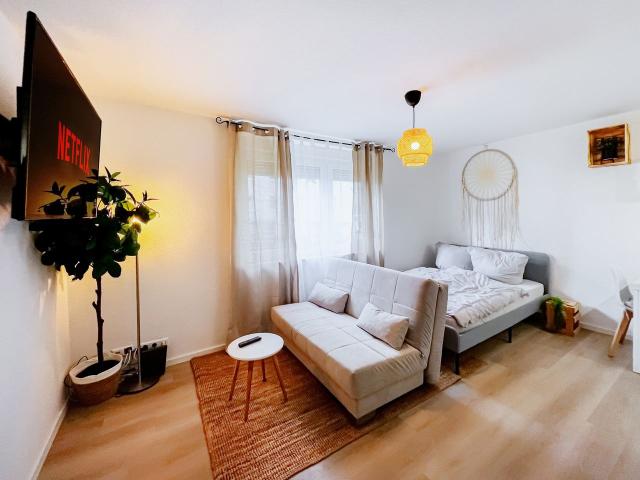 Perfect and new studio in Kaiserslautern, Kaiserslautern Amsterdam Apartments for Rent