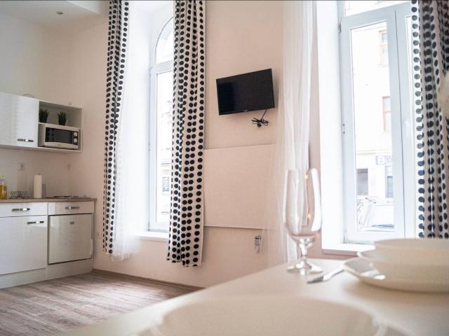 Perfect and quiet loft with nice neighbours, Vienna Amsterdam Apartments for Rent