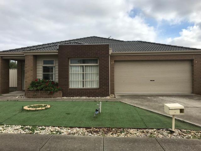 Perfect Family Home in Point Cook