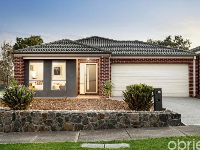 Perfect Family Home