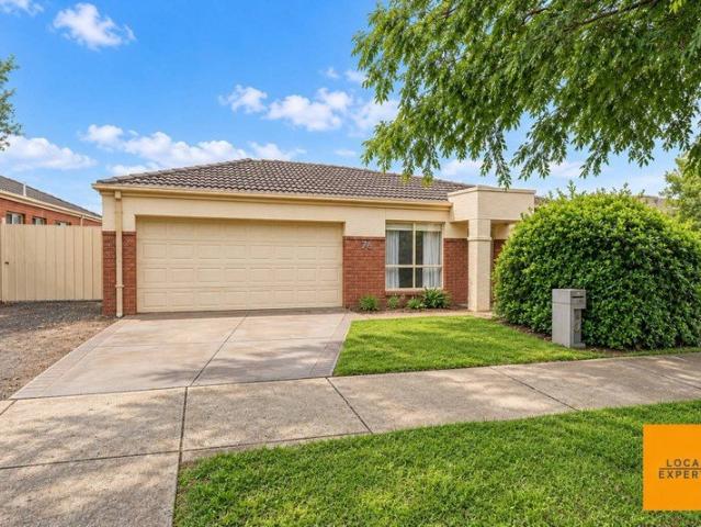 Perfect family home!
