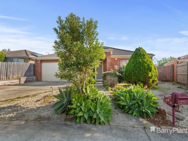 Perfect Family Home