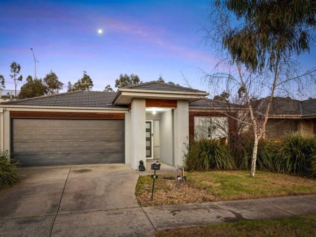 Perfect Family home