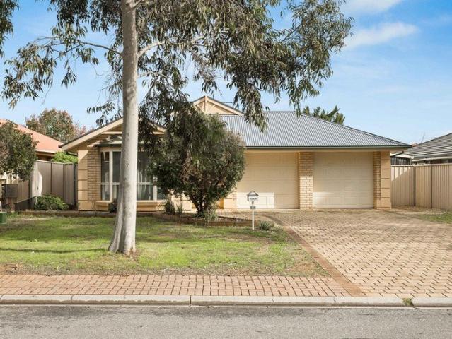 Perfect Location, Perfect for the Family