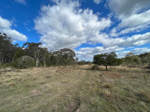 Perfect Location 40 Acres Ideal Weekender | Mix of Cleared & Natural Bushland