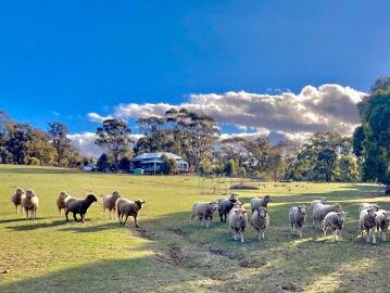 Lillicur, Central Goldfields, Victoria
