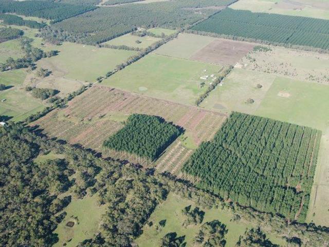 Perfect Weekend or Rural Retreat Blank Footprint to Develop Your Rural Dream