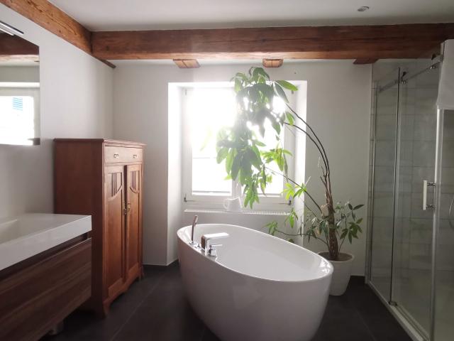 Perfect & wonderful loft Klettgau