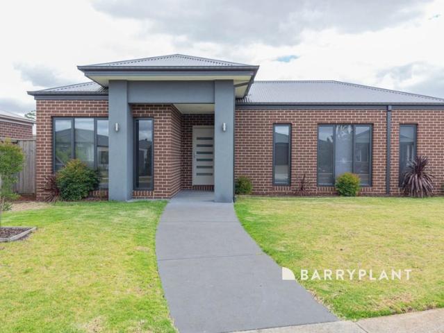 Perfectly Positioned Home for Rent