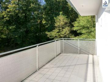 Hochsteingasse, Hasnerplatz - Keller, Terrasse
