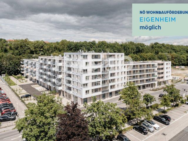 Perfekt für Jungfamilien!