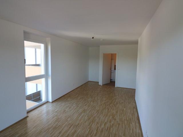 Perfekte 3 Zimmer Wohnung beim Augarten Provisionsfrei!