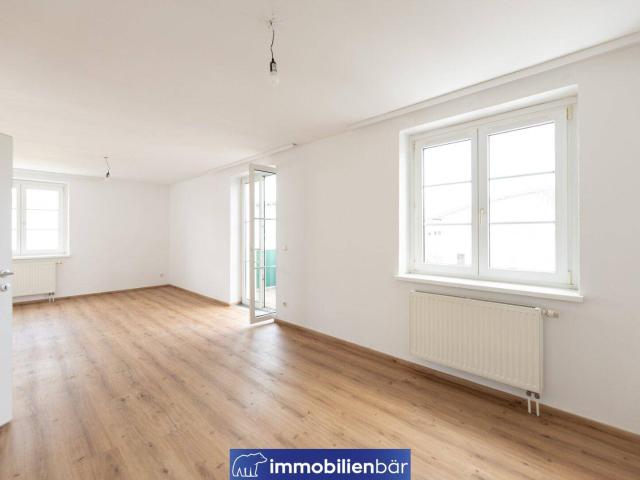 Perfekte Wohnung für FAMILIE oder WG Vermietung 4,5 Zimmer aufgeteilt auf 2 Ebenen und 2 Balkone
