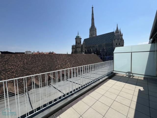 PERFEKTE MÖBLIERTE TERRASSENWOHNUNG BEIM STEPHANSPLATZ