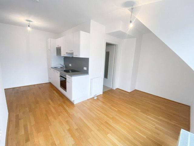Perfekte Starterwohnung mit Balkon in Strebersdorfer Ruhelage