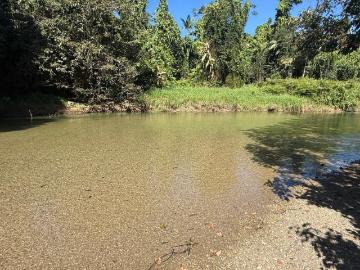 Permanent creek frontage Cattle property near Silkwood with Cattle, Equipment, Water Bore