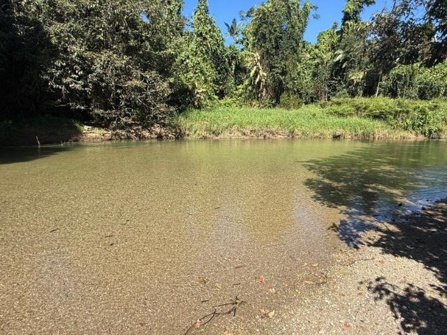 Permanent creek frontage Cattle property near Silkwood with Cattle, Equipment, Water Bore
