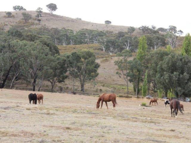 Permanent Residence on 200 acres