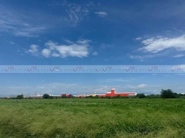 Pesquería N.L