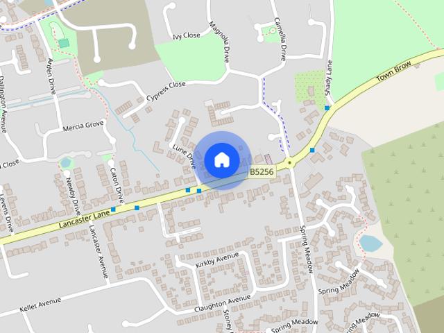 Petunia Close, Leyland