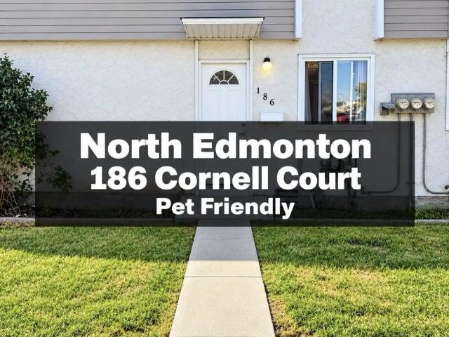 Pet Friendly 4 Bedroom Townhouse in Londonderry — 4 Bedrooms Townhouse