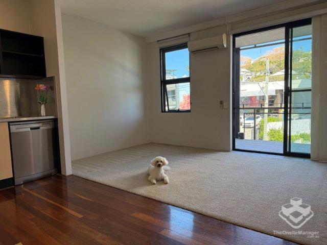 Pet Friendly Apartment in The Cannery ? Lifestyle Living in Teneriffe