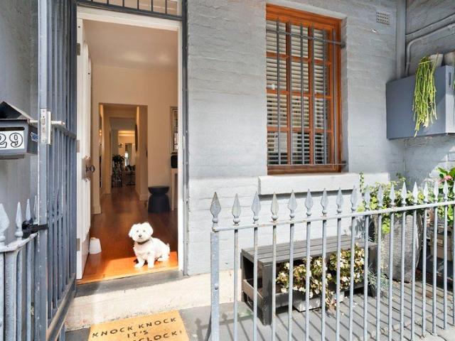 Pet Friendly, Architect Designed Terrace Available Now