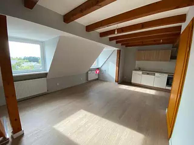 Petersbach 67290 Location appartement 2 pièces t2 au dernier étage