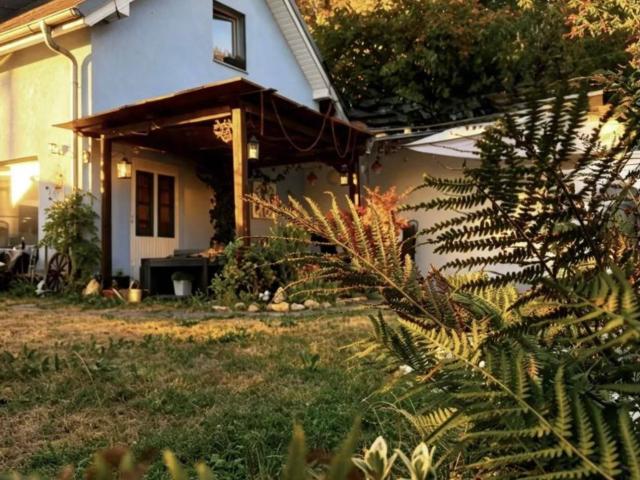 Petersberg: Außergewöhnliche Lage am Wald Gartenidylle & großzügiges Einfamilienhaus in Ternitz