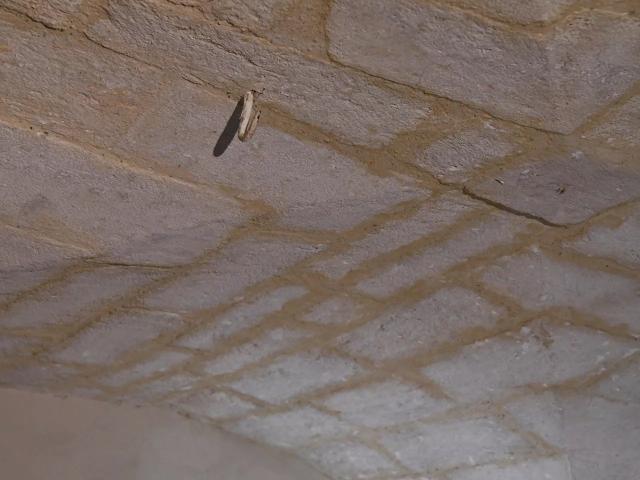 Petit appartement au coeur d'Uzès