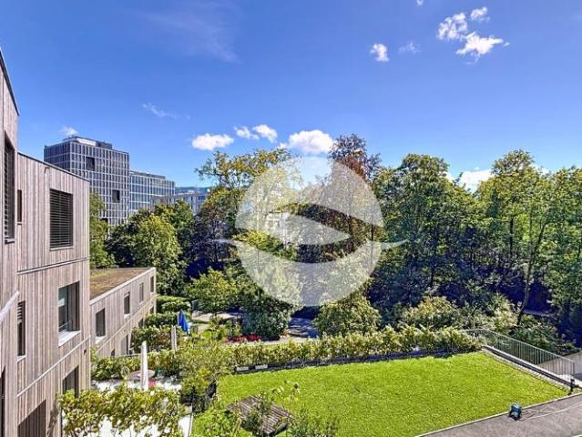 Petit Lancy Proche IIL Bel appartement avec balcon et accès jardin commun