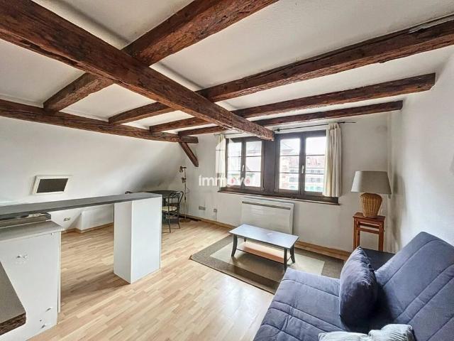 PETITE FRANCE STUDIO MEUBLE 21.14 M²