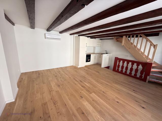 Petite France: 2 Pièces duplex