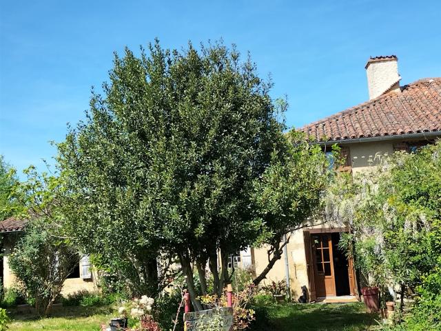 Petite maison style ancienne, 3 dépendances en bon état 111m² Masseube