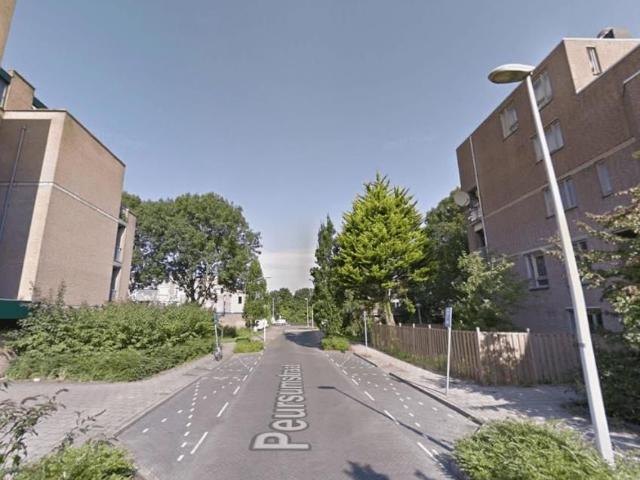 Peursumstraat 43