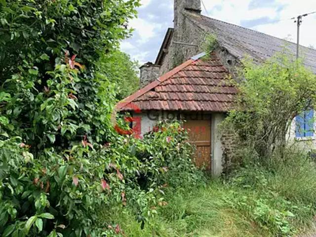 Peyrissac 19260 Achat / Vente maison 4 pièces t4