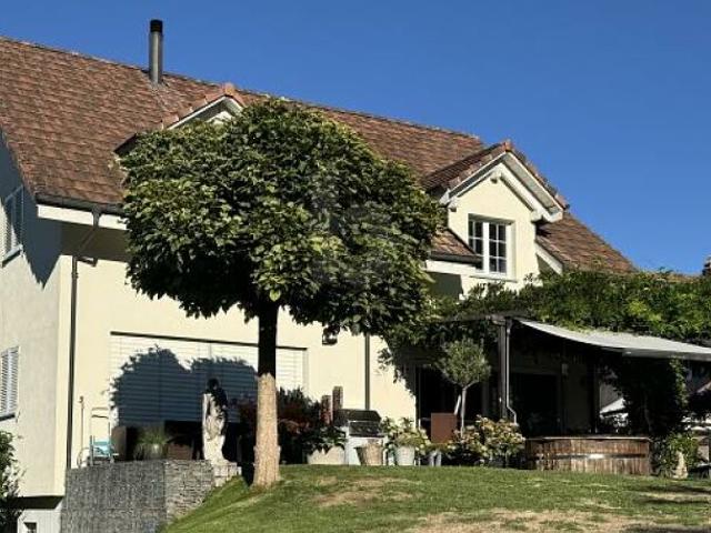 PFERDEHALTERPARADIS AM HALLWILERSEE