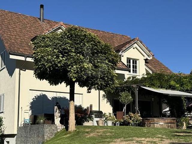 PFERDEHALTERPARADIS AM HALLWILERSEE