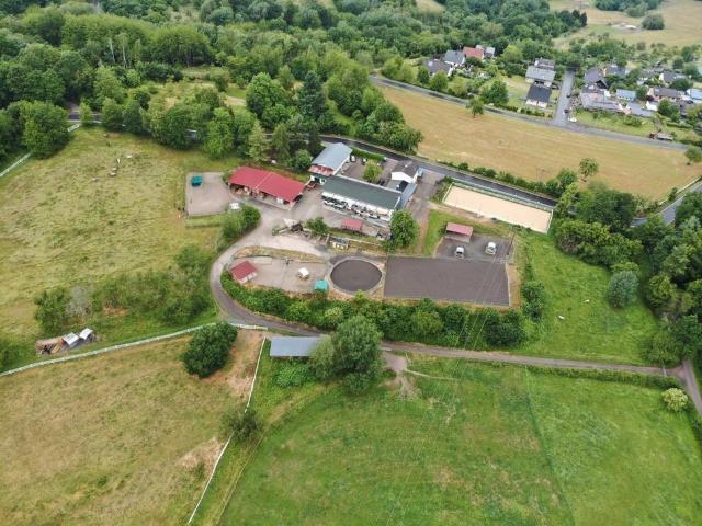 Pferdehof, Bauernhof, Reitanlage: Einnahmen ca. 9.000 EURMon