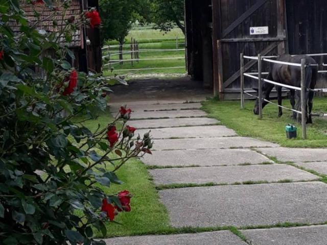 Pferdeparadies mit Bauernhaus