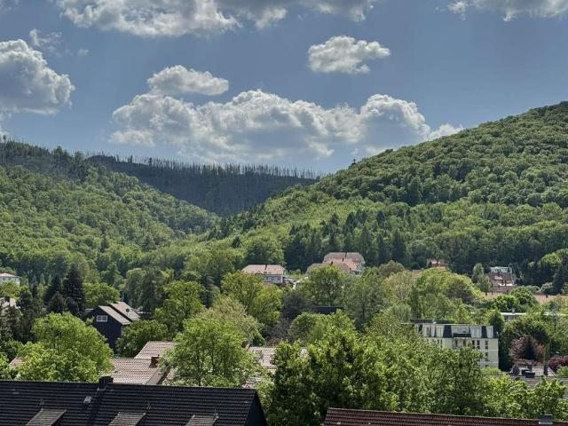 Pfiffige Apartments auf der Sonnenseite von Bad Harzburg!