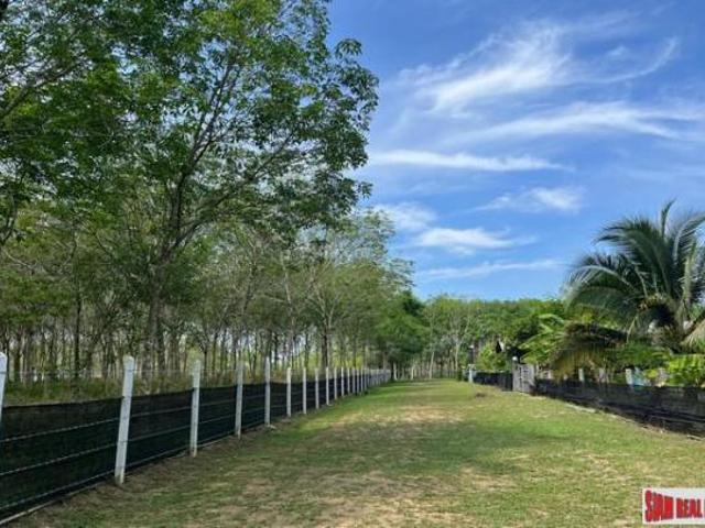 Phang Nga Phang Nga for sale 104324855