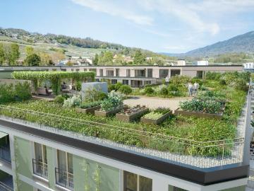 Corsier-sur-Vevey, District de la Riviera-Pays-d’Enhaut, Kanton Freiburg