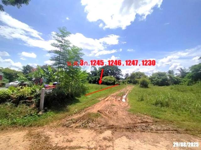 เพิงอเนกประสงค์ 2059 ตร.วา นากลาง หนองบัวลำภู 10.8M