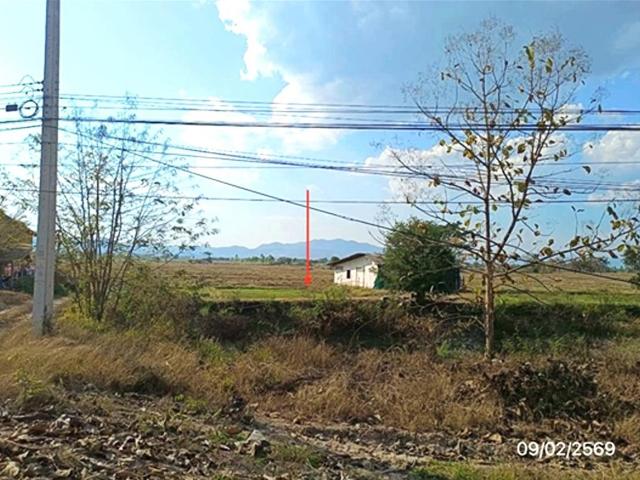 เพิงอเนกประสงค์ 3633 ตร.วา ดอกคำใต้ พะเยา 5.8M