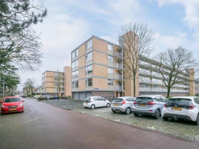 Philippus de Montestraat