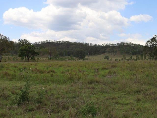 Pine Mountain